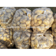 High Quality Fresh Potato crop 2017 for chip